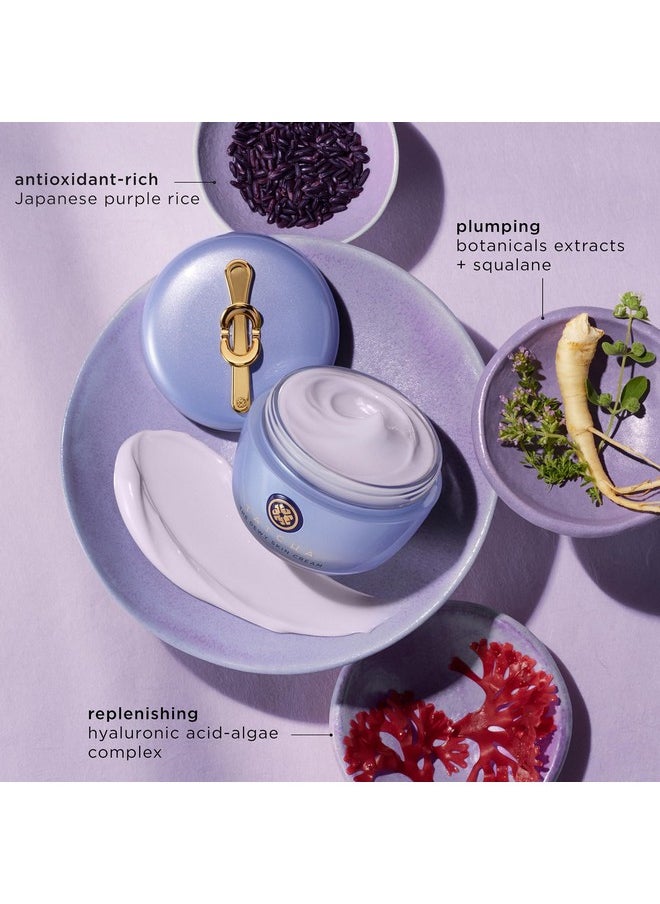 TATCHA The Dewy Skin Cream | Rich Face Cream to Hydrate, Plump and Protect Dry and Combo Skin | 10 ml / 0.34 oz