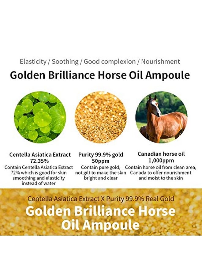 CHARMZONE Mayu Horse Oil and Gold Intense Moisturizing Lightweight Face Ampoule Golden Complex Gift for All Skin Type (100ml/3.38 fl.oz)