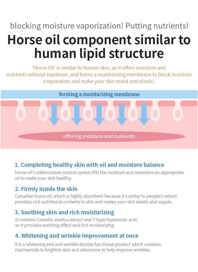 CHARMZONE Mayu Horse Oil and Gold Intense Moisturizing Lightweight Face Ampoule Golden Complex Gift for All Skin Type (100ml/3.38 fl.oz)