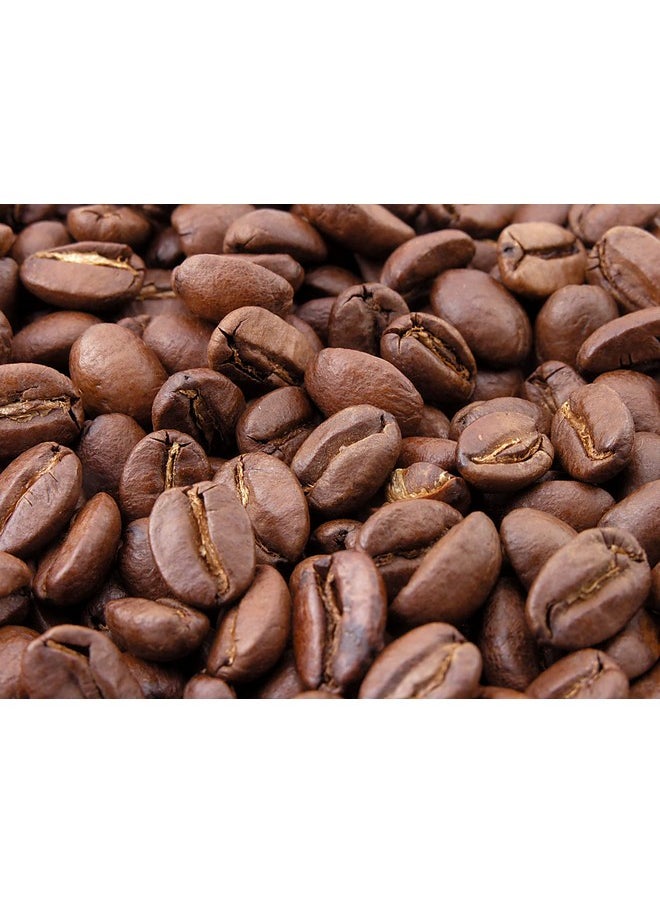Dr Joe Lab Roasted Coffee Bean Oil - Pure Cold Pressed Non-GMO - 8 oz - For Skin, Hair, Body, Nails, Cuticles, Facial Hair, Eyelashes, Eyebrows Natural Hydrating Moisturizing Antioxidant