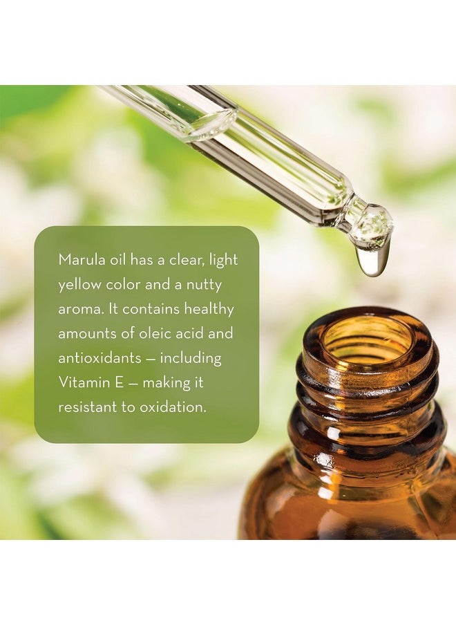 Pure Body Naturals Marula Facial Oil, 1 Fluid Ounce - Cold-pressed, Refined Luxury Beauty Oil for Face and Hair - Vegan, Gluten-free and 100% Natural