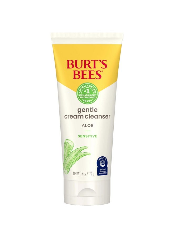 Burt's Bees Facial Cleanser for Sensitive Skin with Aloe, 98.9% Natural Origin Skin Care, Stocking Stuffers & Skin Care Christmas Gifts (6 oz)