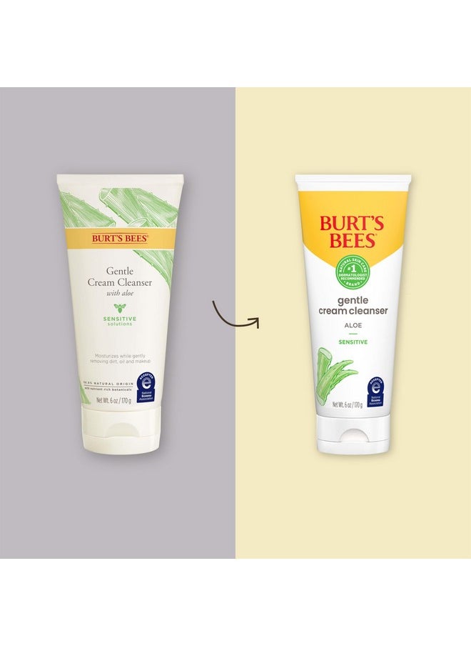 Burt's Bees Facial Cleanser for Sensitive Skin with Aloe, 98.9% Natural Origin Skin Care, Stocking Stuffers & Skin Care Christmas Gifts (6 oz)