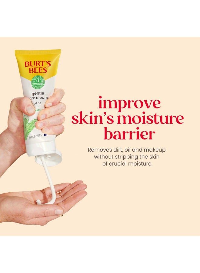 Burt's Bees Facial Cleanser for Sensitive Skin with Aloe, 98.9% Natural Origin Skin Care, Stocking Stuffers & Skin Care Christmas Gifts (6 oz)