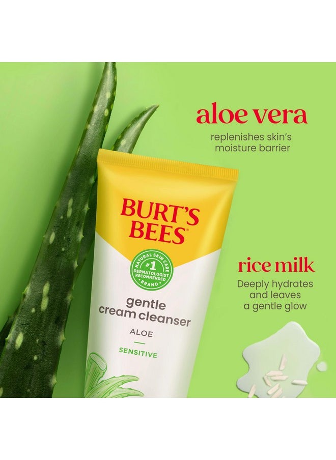 Burt's Bees Facial Cleanser for Sensitive Skin with Aloe, 98.9% Natural Origin Skin Care, Stocking Stuffers & Skin Care Christmas Gifts (6 oz)
