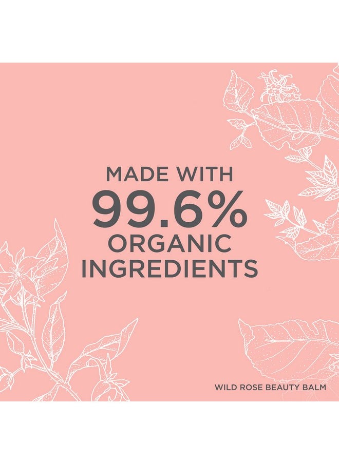 Neal's Yard Remedies Wild Rose Organic & Daily Beauty Balm For All Skin Types - Nourishes & Exfoliates, 50g