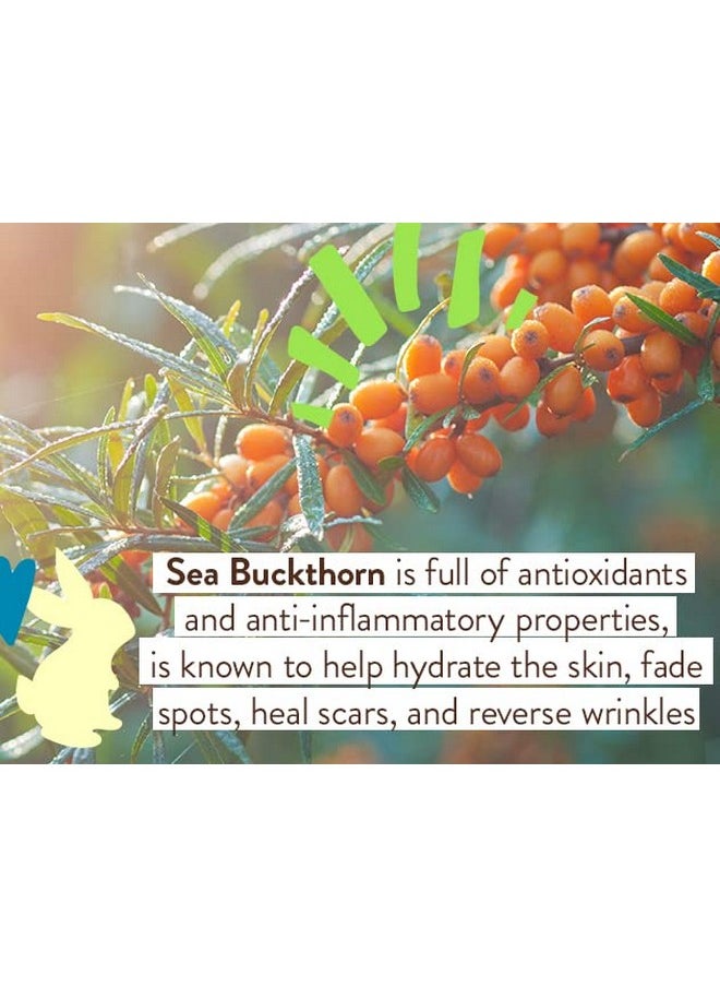 Babo Botanicals Daily Sheer Mineral Tinted Sunscreen SPF30 - Natural Zinc Oxide & Titanium Dioxide - Tinted - Healthy Glow - Fragrance-Free -Rosehip Oil & Hyaluronic Acid - For Face - For all ages