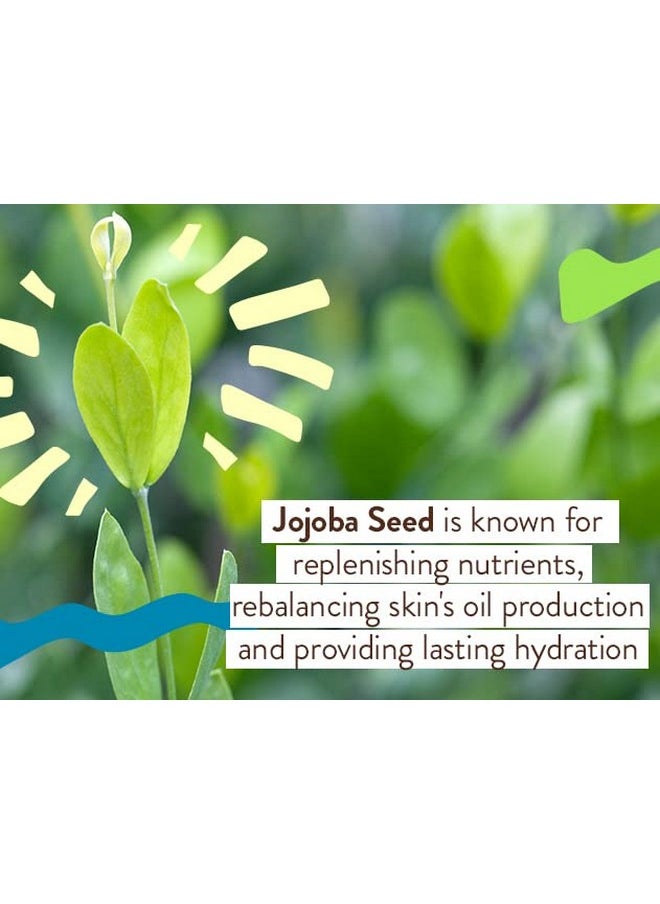 Babo Botanicals Daily Sheer Mineral Tinted Sunscreen SPF30 - Natural Zinc Oxide & Titanium Dioxide - Tinted - Healthy Glow - Fragrance-Free -Rosehip Oil & Hyaluronic Acid - For Face - For all ages