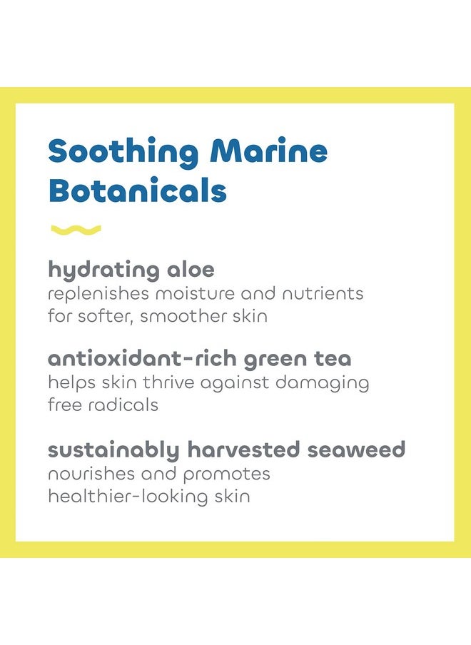 Seaweed Bath Co. Sheer Protect Daily SPF 30 Broad Spectrum Hybrid Sunscreen Cream, 3.4 Ounce, Sustainably Harvested Seaweed, Aloe, Green Tea