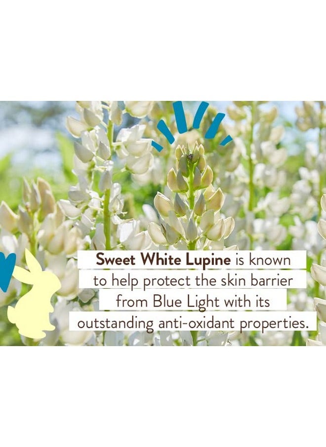 Babo Botanicals Daily Sheer Mineral Sunscreen Fluid SPF50 - Natural Zinc Oxide - Passion Fruit Oil - Fragrance Free - Ultra-Lightweight - For Face - For all ages