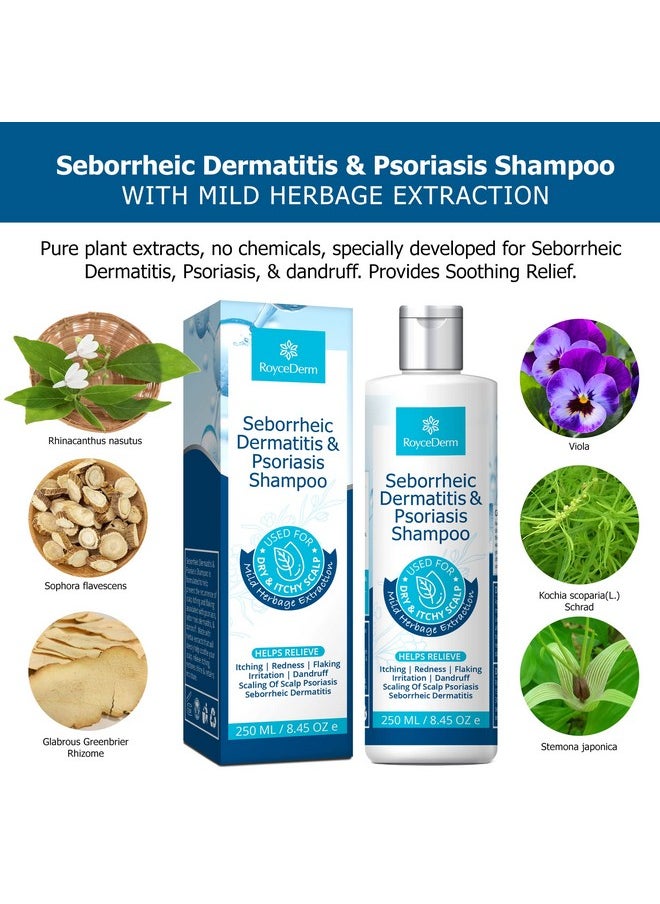 Roycederm Psoriasis Shampoo, Seborrheic Dermatitis Shampoo, Folliculitis Shampoo, Dandruff Shampoo, Scalp Psoriasis & Seborrheic Dermatitis Treatment, Dry Itchy Scalp Treatment