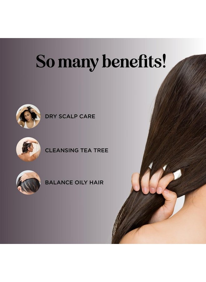 Tea Tree Shampoo for Oily Hair - Paraben and Sulfate Free Clarifying Shampoo for Build Up and Dry Scalp with Tea Tree Oil for Hair - Purifying Aromatherapy Tea Tree Oil Shampoo for Greasy Hair