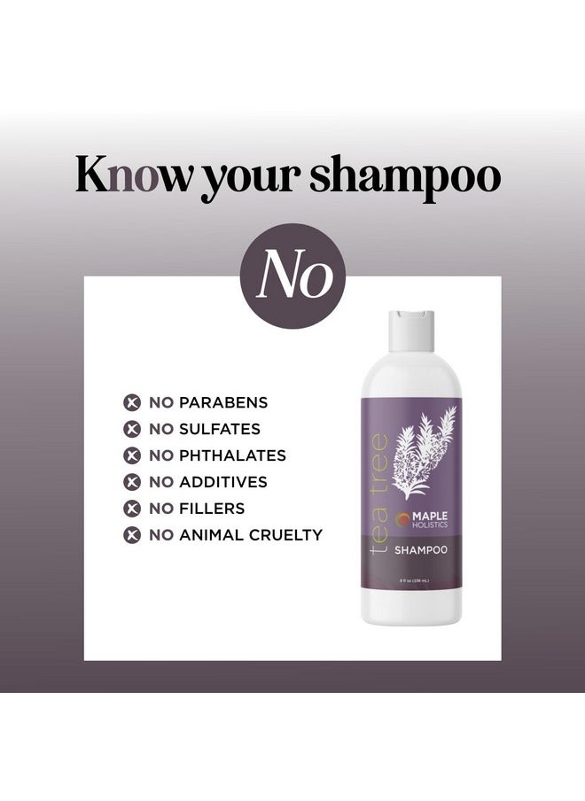 Tea Tree Shampoo for Oily Hair - Paraben and Sulfate Free Clarifying Shampoo for Build Up and Dry Scalp with Tea Tree Oil for Hair - Purifying Aromatherapy Tea Tree Oil Shampoo for Greasy Hair