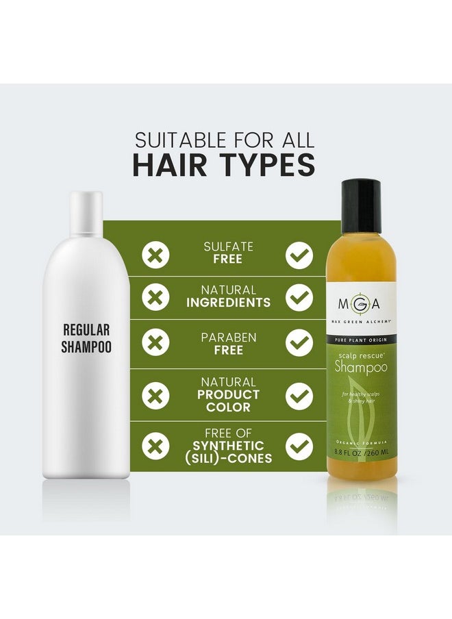MGA Vegan Hair Shampoo - Organic Formula for All Types of Hair | With Natural Herbal Scent for Men & Women | Parabens Silicone & Sulfate Free Dandruff Shampoo Provides Frizz control | 8.8 Fluid Ounce