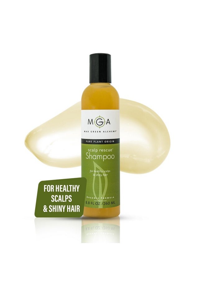 MGA Vegan Hair Shampoo - Organic Formula for All Types of Hair | With Natural Herbal Scent for Men & Women | Parabens Silicone & Sulfate Free Dandruff Shampoo Provides Frizz control | 8.8 Fluid Ounce