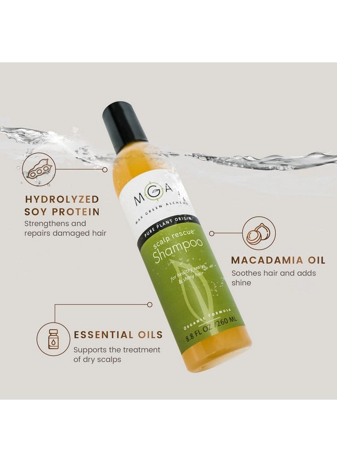 MGA Vegan Hair Shampoo - Organic Formula for All Types of Hair | With Natural Herbal Scent for Men & Women | Parabens Silicone & Sulfate Free Dandruff Shampoo Provides Frizz control | 8.8 Fluid Ounce