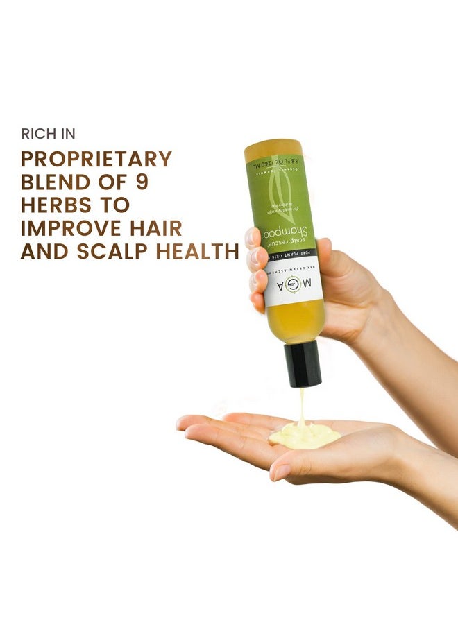 MGA Vegan Hair Shampoo - Organic Formula for All Types of Hair | With Natural Herbal Scent for Men & Women | Parabens Silicone & Sulfate Free Dandruff Shampoo Provides Frizz control | 8.8 Fluid Ounce