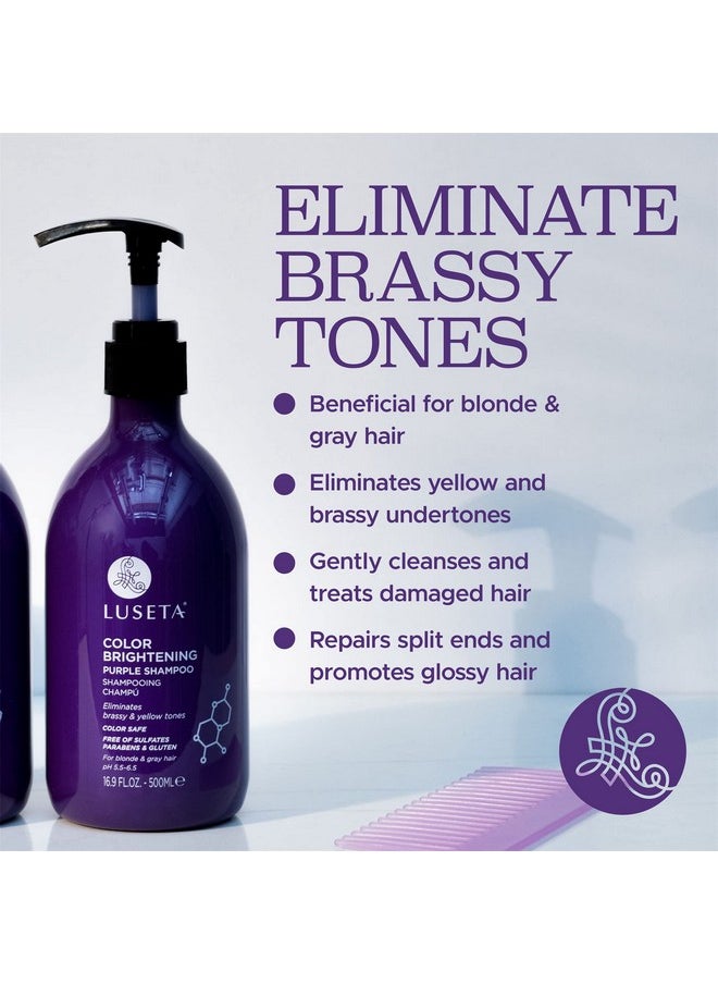 Luseta Purple Shampoo for Women - Blonde, Grey, Color Treated, Curly and Damaged Hair - 16.9oz, Sulfate & Paraben Free