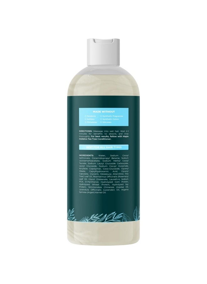 Rosemary Tea Tree Mint Shampoo - Clarifying Shampoo for Build Up and Flakes with Peppermint Oil and Tea Tree Essential Oil for Dry Scalp Treatment - Deep Cleansing Peppermint Tea Tree Shampoo (16oz)