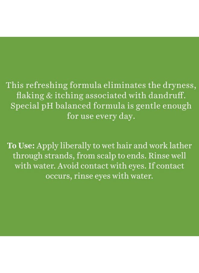 Biotique Fresh Neem Anti Dandruff Shampoo and Conditioner | Controls Dandruff | Eliminates Dryness, Flaking, and Itching | Hair Looks Fresh and Lustrous |Suitable for All Skin Types | 340ml