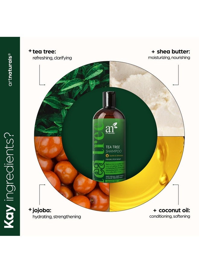 artnaturals Tea Tree Conditioner 16 Fl Oz - Sulfate Free - Made w/ 100% Pure Natural Therapeutic Grade Tea Tree Essential Oil - For Dandruff, Sensitive, Itchy, Dry scalp - For Men & Women