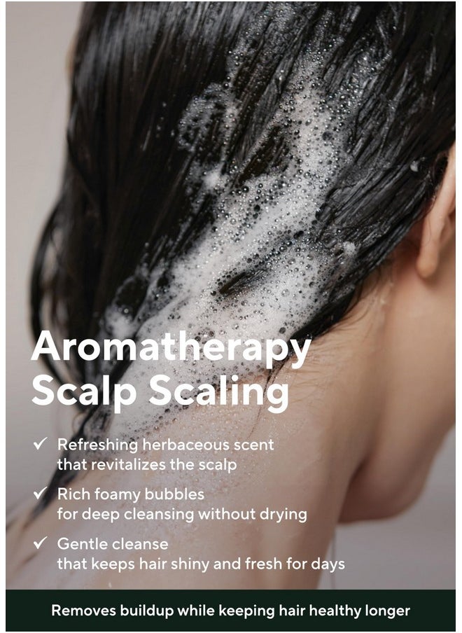 AROMATICA Tea Tree Purifying Shampoo 13.53fl.oz./400ml, Tea Tree Shampoo for Oily Hair and Scalp, Sulfate Free, Vegan