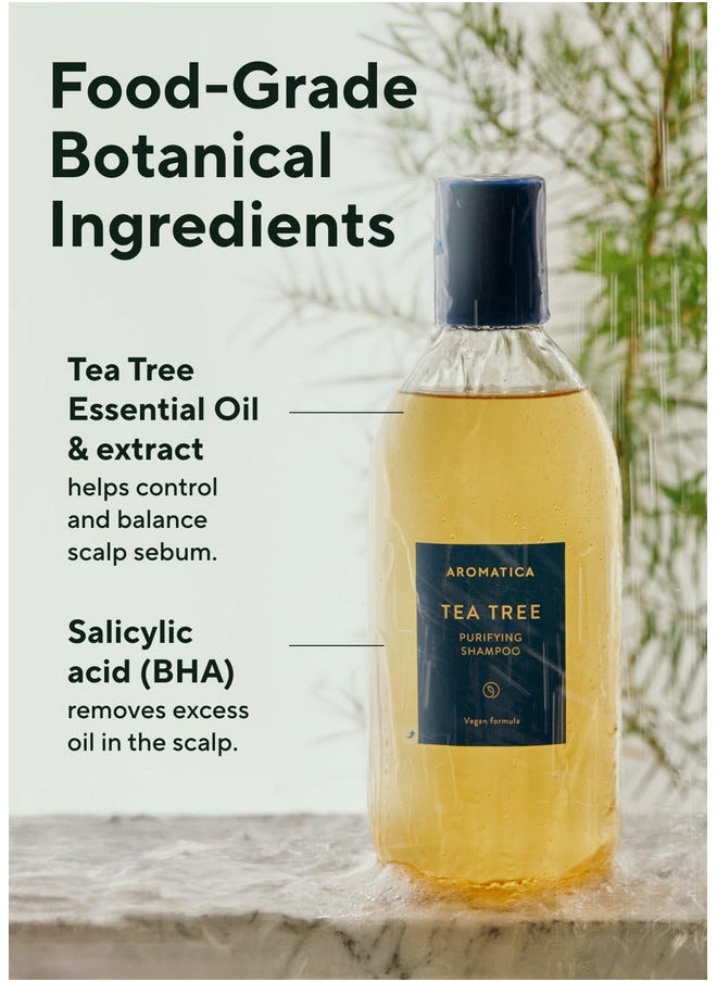 AROMATICA Tea Tree Purifying Shampoo 13.53fl.oz./400ml, Tea Tree Shampoo for Oily Hair and Scalp, Sulfate Free, Vegan