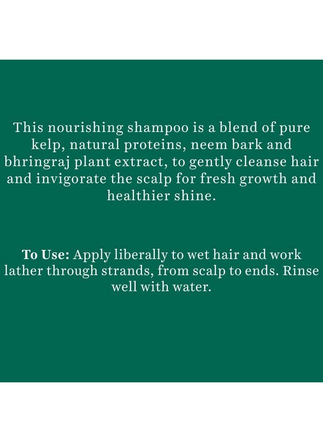Biotique Bio Kelp Protein Shampoo for Falling Hair, 340 ml