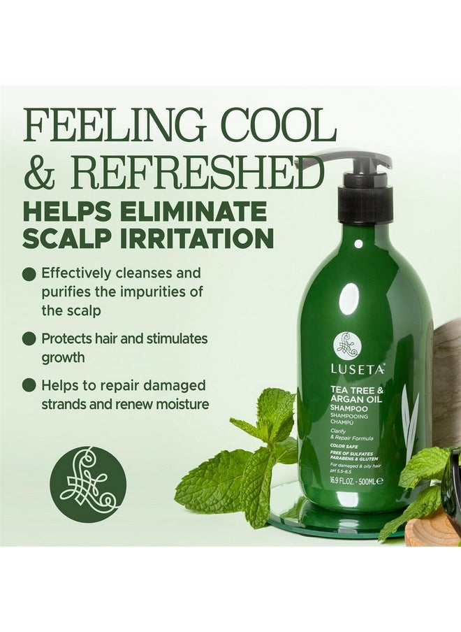 Luseta Tea Tree Shampoo with Argan Oil 16.9 Fl oz- Clarifying,Hydrating and Fighting Dandruff and Itchy Scalp - For Damaged and Oil Hair - Sulfate and Paraben Free for Men and Women