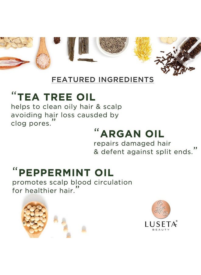 Luseta Tea Tree Shampoo with Argan Oil 16.9 Fl oz- Clarifying,Hydrating and Fighting Dandruff and Itchy Scalp - For Damaged and Oil Hair - Sulfate and Paraben Free for Men and Women