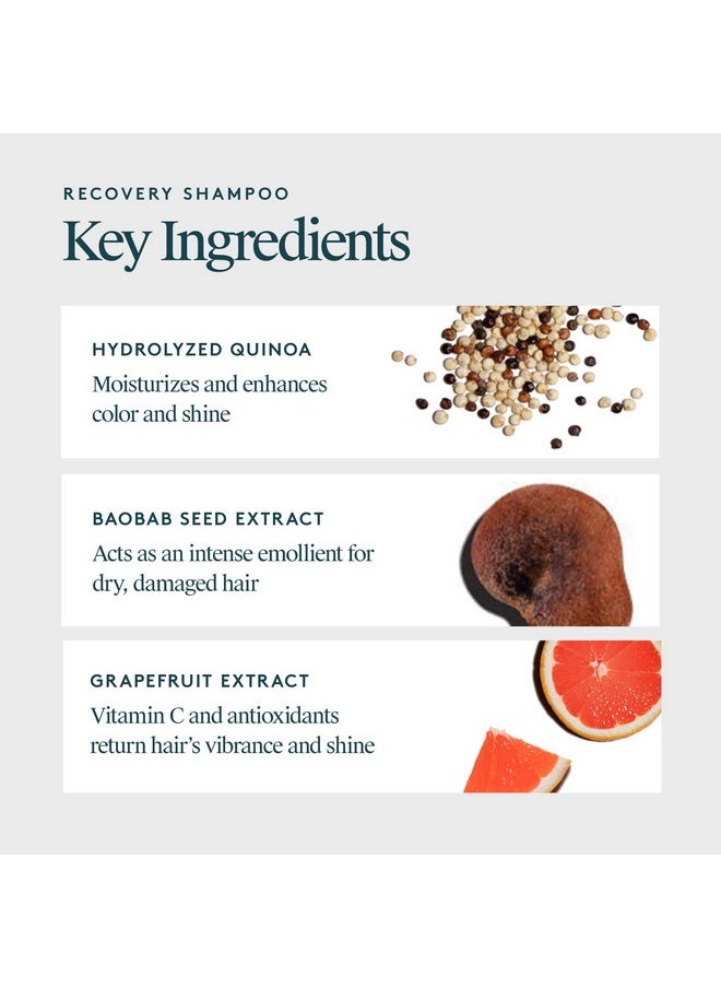 VIRTUE Recovery Sulfate Free Shampoo with Keratin and Baobab Seed Oil for Damaged Hair, Color Safe