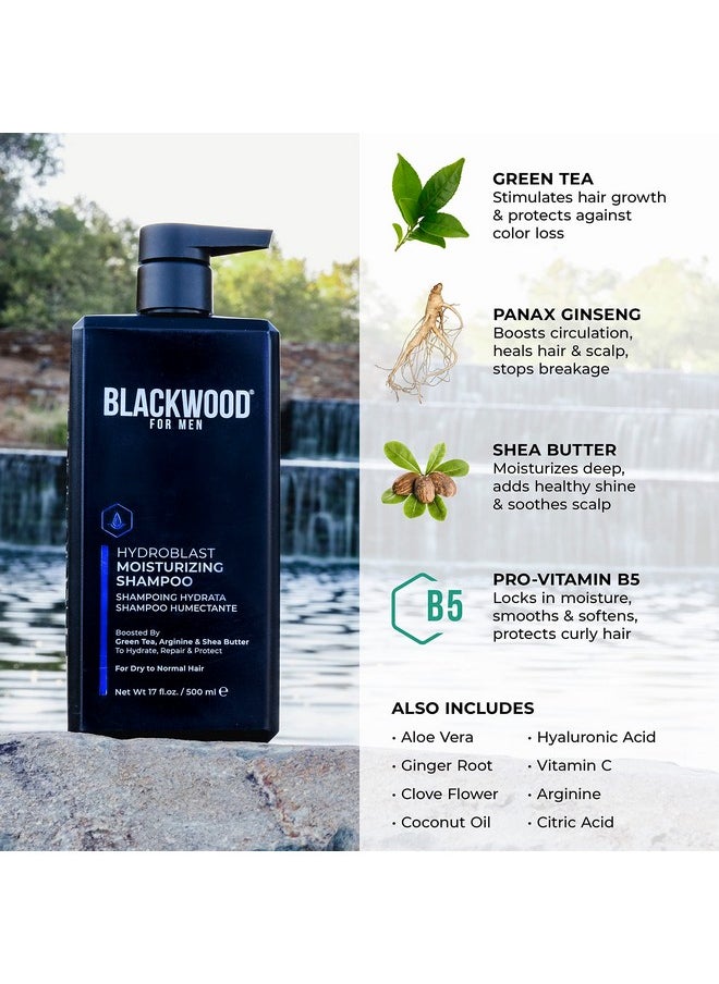 Blackwood For Men Hydroblast Moisturizing Shampoo - Men's Shampoo for Coarse, Dry, & Curly Hair - Infused with Ginseng & Ginger- Natural Vegan Formula -Sulfate Free, Paraben Free & Cruelty Free(17 Oz)