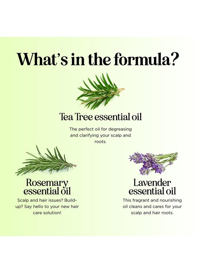 Clarifying Shampoo for Build Up & Oily Hair - Tea Tree Shampoo for Men and Women with Rosemary Essential Oil for Oily Hair and Scalp - Color Safe Vegan Sulfate Silicone & Paraben Free (8 Fl Oz)