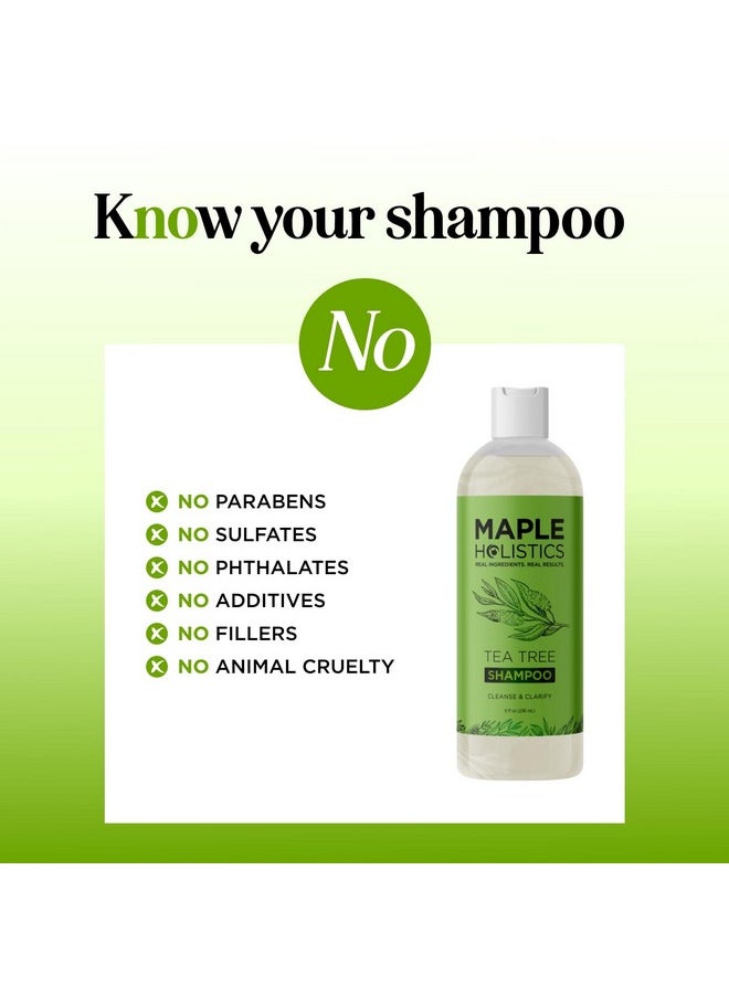 Clarifying Shampoo for Build Up & Oily Hair - Tea Tree Shampoo for Men and Women with Rosemary Essential Oil for Oily Hair and Scalp - Color Safe Vegan Sulfate Silicone & Paraben Free (8 Fl Oz)