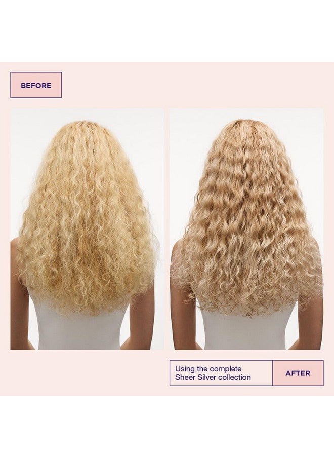 Maria Nila Sheer Silver, Shampoo 11.8 Fl Oz, Neutralizes Golden Shades, Violet Pigments Gives Cool Tone, 100% Vegan & Sulfate/Paraben free