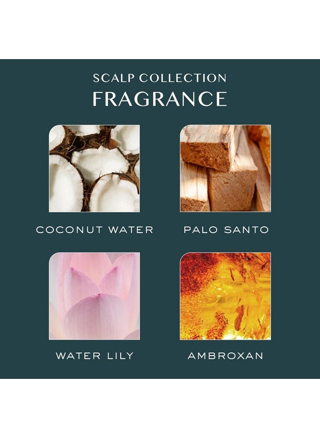 Kristin Ess Hair Scalp Purifying Micellar Shampoo for Deep Cleansing + Scalp Hydrating - Removes Build Up, Shine Boosting, Vegan, Sulfate Free Shampoo, Color Safe + Keratin Safe, 10 fl oz