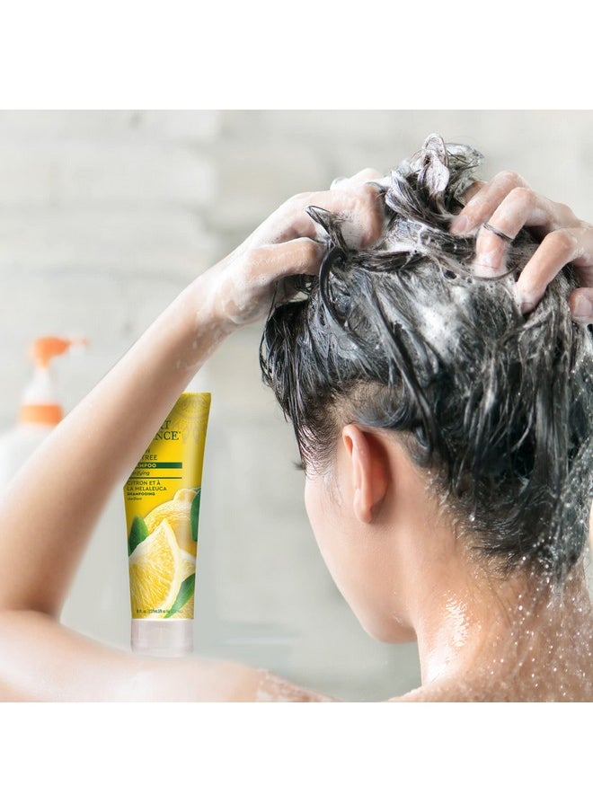 Desert Essence Lemon Tea Tree Shampoo - 8 Fl Ounce - Removes Excess Oil - Revitalizes Scalp - Strengthens & Protects Hair - Maca Root Extract - Soft, Smooth & More Manageable