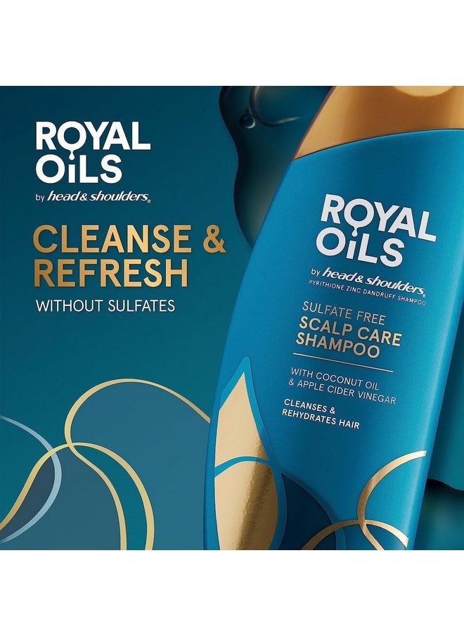 Head & Shoulders Royal Oils Moisturizing Shampoo, Anti Dandruff Treatment for Natural, Curly, and Coily Hair, with Coconut Oil and Apple Cider Vinegar, Sulfate, Paraben & Dye-Free, 12.8 Fl Oz