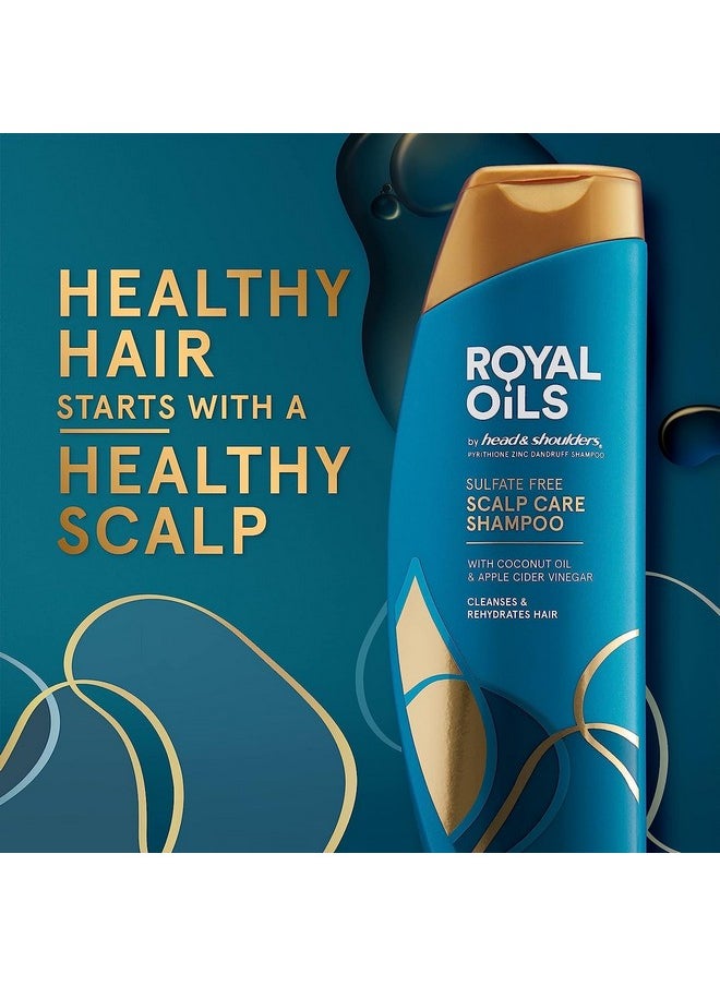 Head & Shoulders Royal Oils Moisturizing Shampoo, Anti Dandruff Treatment for Natural, Curly, and Coily Hair, with Coconut Oil and Apple Cider Vinegar, Sulfate, Paraben & Dye-Free, 12.8 Fl Oz