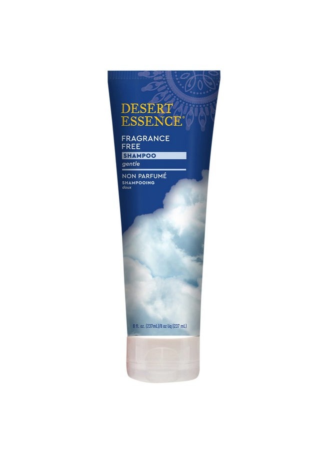 Desert Essence Fragrance Free Shampoo - Pure - 8 Fl Ounce - Unscented - Gloss & Shine - Strengthens Hair - Soft & Revitalized - Green Tea - Vitamins & Minerals - Jojoba Oil