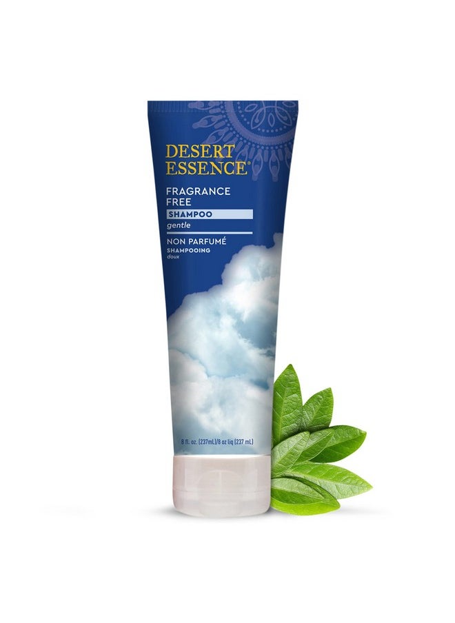 Desert Essence Fragrance Free Shampoo - Pure - 8 Fl Ounce - Unscented - Gloss & Shine - Strengthens Hair - Soft & Revitalized - Green Tea - Vitamins & Minerals - Jojoba Oil