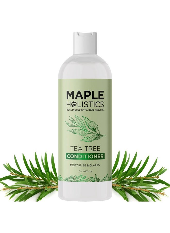 Tea Tree Conditioner for Dry Hair - Tea Tree Oil Conditioner for Oily Hair and Sulfate Free Conditioner for Dry Hair - Cleansing Conditioner and Tea Tree Dry Scalp Care with Tea Tree Oil for Hair