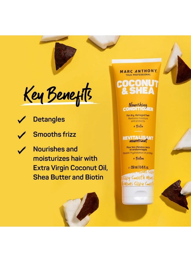 Marc Anthony Volumizing Conditioner with Coconut Oil & Shea Butter - Nourishing & Hydrating Haircare with Biotin for Dry & Damaged Hair - Restore Moisture & Protects Hair - Paraben & Sulfate Free