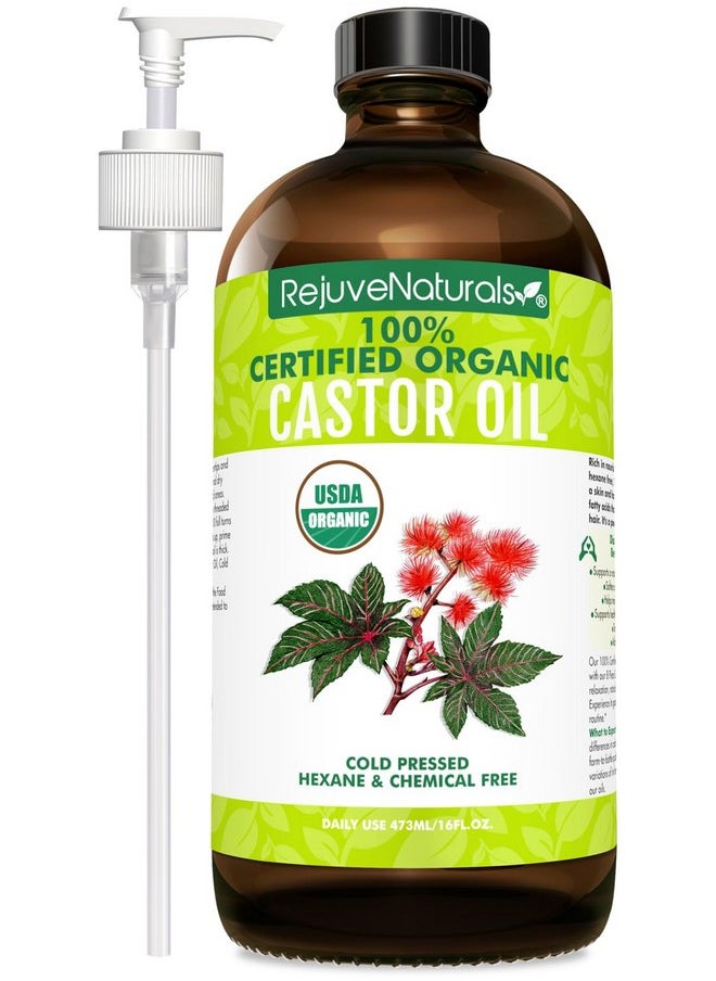 RejuveNaturals Castor Oil (16oz Glass Bottle) USDA Certified Organic, 100% Pure, Cold Pressed, Hexane Free. Boost Hair Growth for Thicker, Fuller Hair, Lashes & Eyebrows.