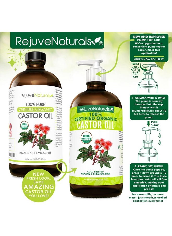RejuveNaturals Castor Oil (16oz Glass Bottle) USDA Certified Organic, 100% Pure, Cold Pressed, Hexane Free. Boost Hair Growth for Thicker, Fuller Hair, Lashes & Eyebrows.