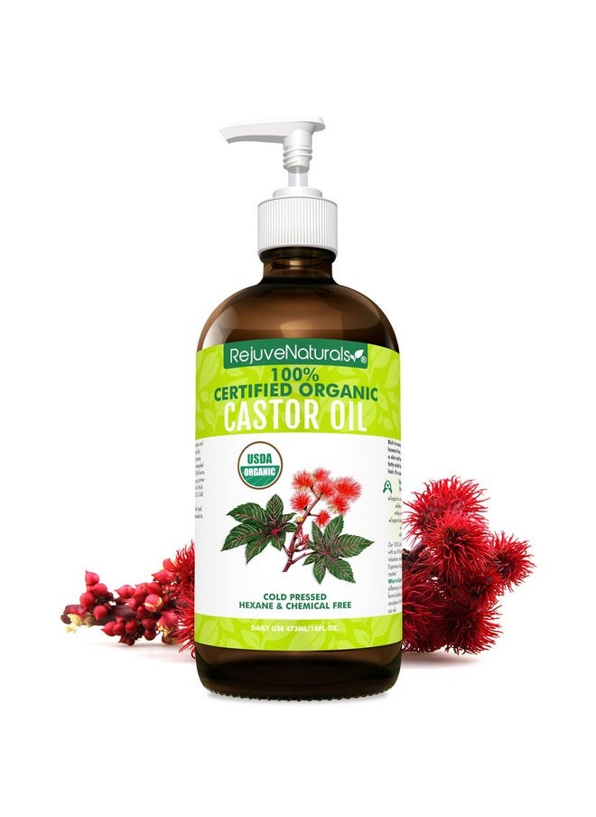 RejuveNaturals Castor Oil (16oz Glass Bottle) USDA Certified Organic, 100% Pure, Cold Pressed, Hexane Free. Boost Hair Growth for Thicker, Fuller Hair, Lashes & Eyebrows.