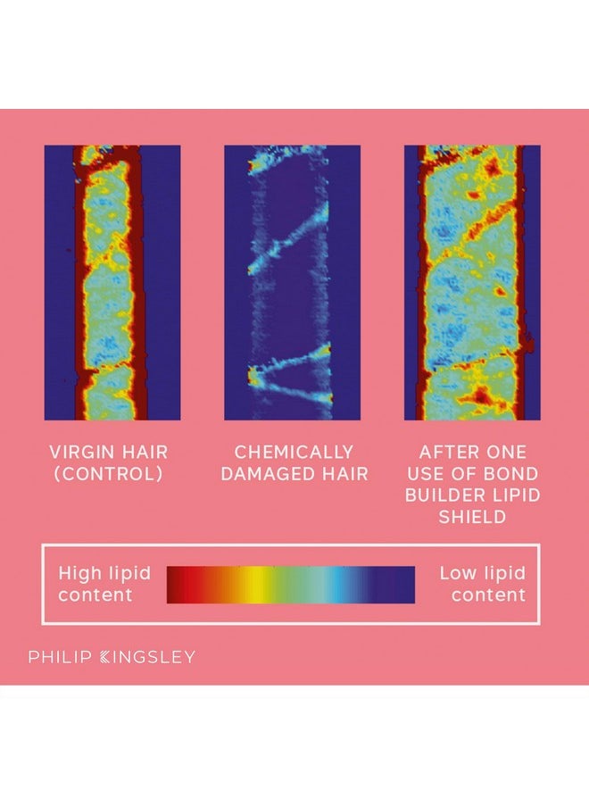 PHILIP KINGSLEY Bond Builder Lipid Shield Restorative Hair Oil Blend Treatment for Dry, Damaged Hair Nourishing Moisturizer, Lightweight, Replenishes, Protects Against Dryness and Damage, 30 ml
