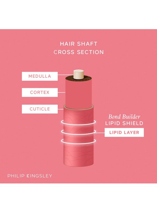 PHILIP KINGSLEY Bond Builder Lipid Shield Restorative Hair Oil Blend Treatment for Dry, Damaged Hair Nourishing Moisturizer, Lightweight, Replenishes, Protects Against Dryness and Damage, 30 ml
