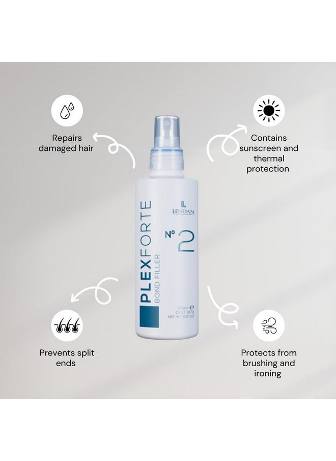 Lendan Plex Forte No. 2 Bond Filler 6.8oz