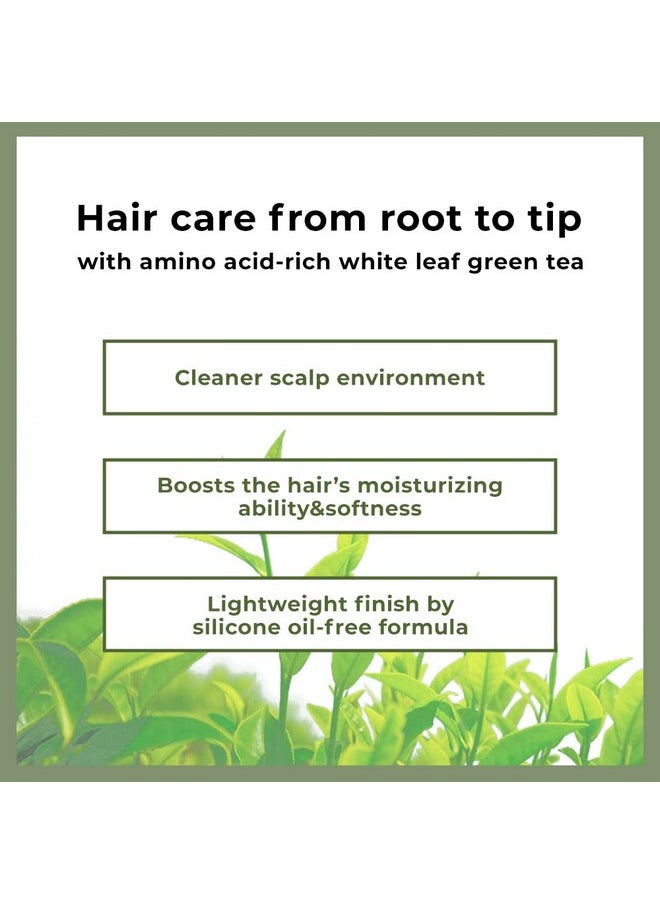 AMOS PROFESSIONAL Korean Green Tea Nourishing Hair Mask 8.45 oz (250ml) | Deep Conditioning Treatment for Hair Growth and Moisture